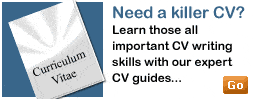 Contractor CV Writing